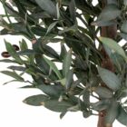 Prachtige olijfboom kunst 150