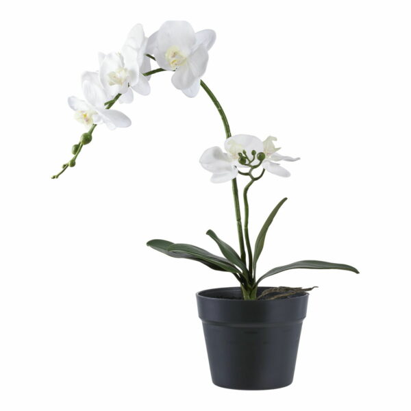 Orchidee Kunstplant, groen/wit 49 cm